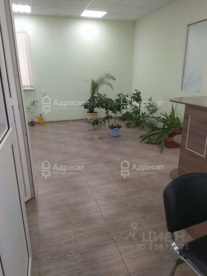 Офис переулок Степана Разина