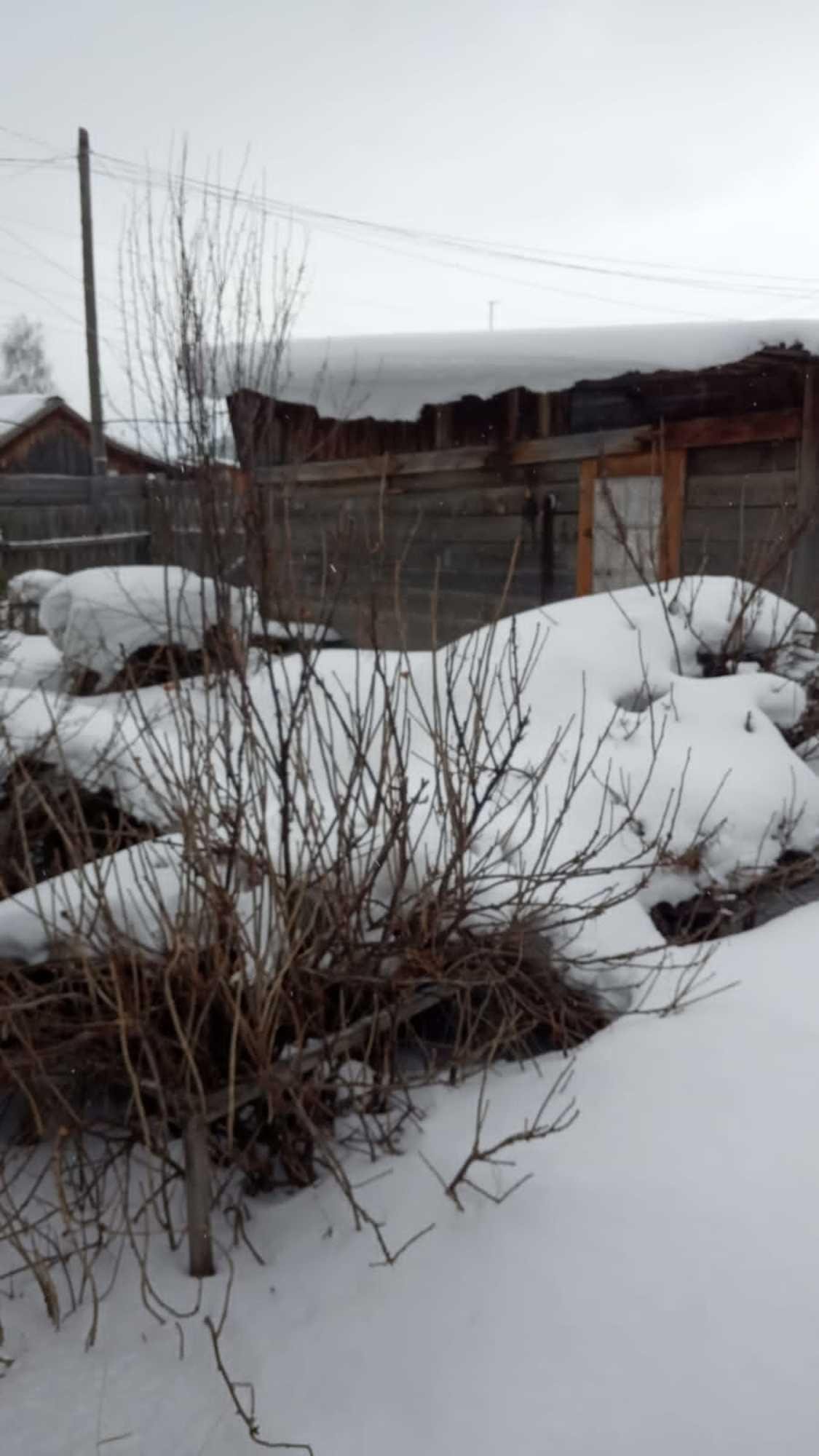Купить дачу, дом, коттедж за 2 300 000 рублей на Пацаева, 16