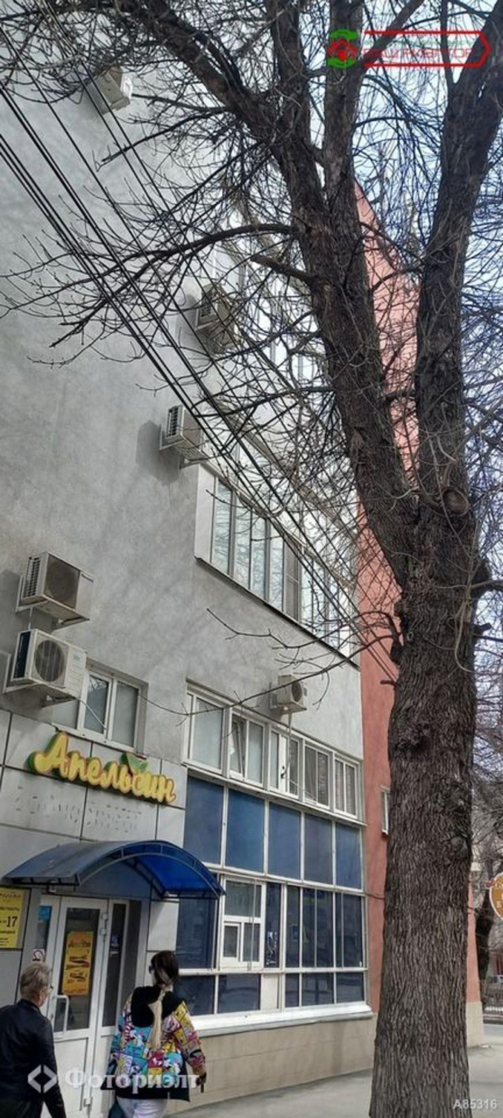 Офис Рахова В.Г. ул, 181