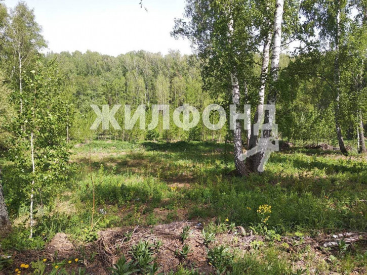 Земельный участок поселок Каинская Заимка
