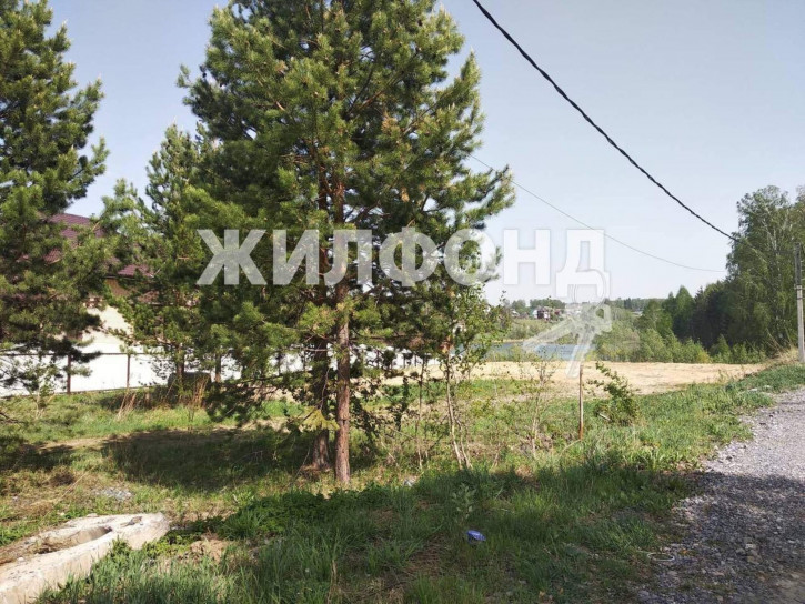 Земельный участок поселок Каинская Заимка