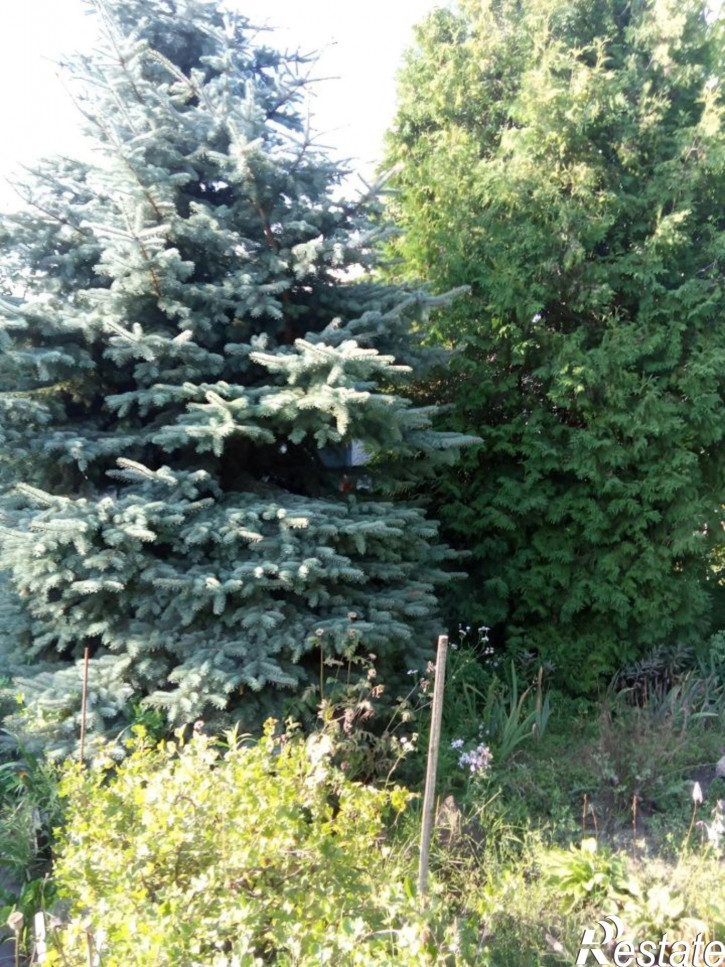 Коттедж/дом СНТ Лужки-2, 192