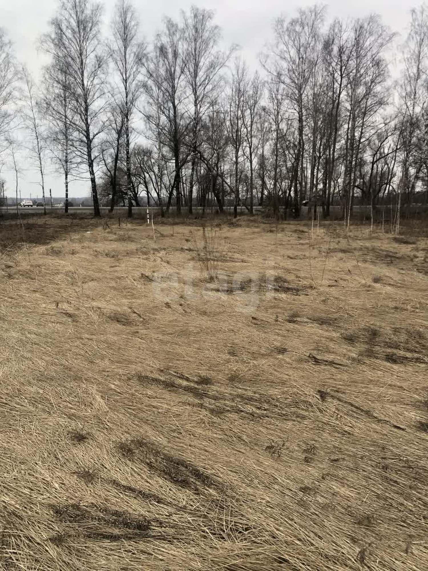Купить землю, земельный участок за 300 000 рублей на Жуковка