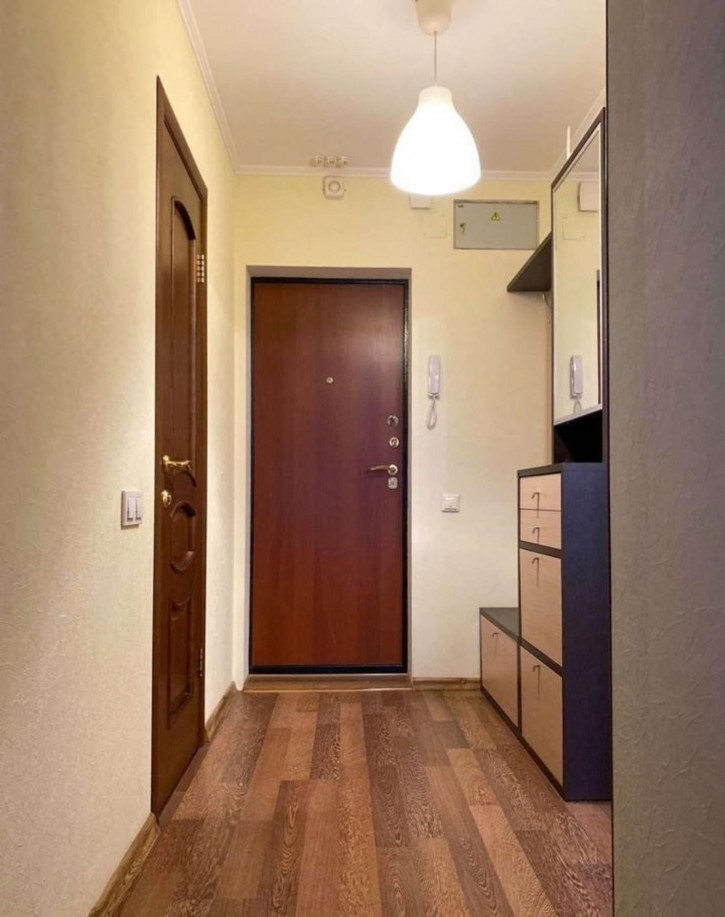 1-комн квартира Николая Панова улица, 50