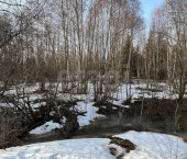 земля 78 сот деревня Мальгино (Подлесный сельсовет), 719