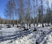 земля 8 сот ИЖС, 131