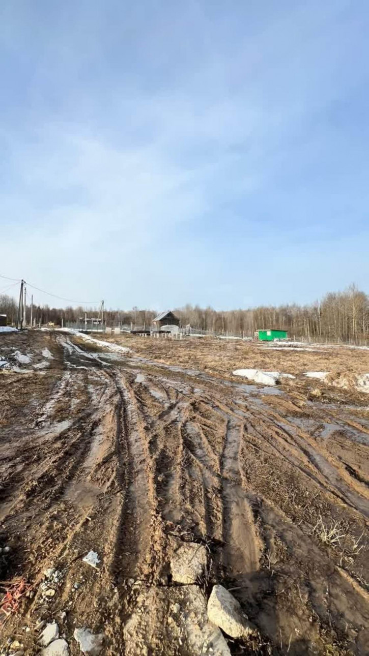 Земельный участок деревня Мальгино (Подлесный сельсовет), 972