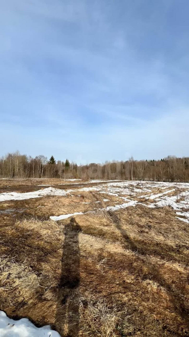 Земельный участок деревня Мальгино (Подлесный сельсовет), 832
