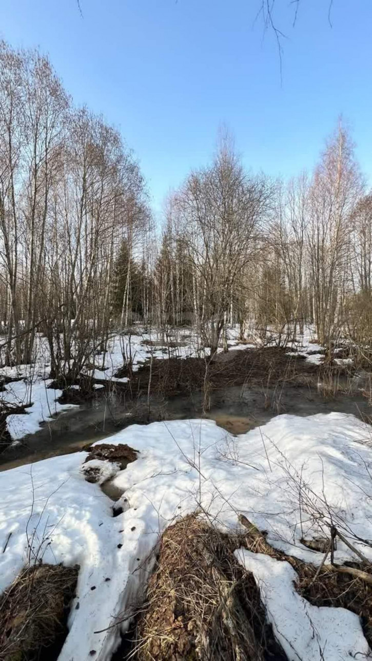 Земельный участок деревня Мальгино (Подлесный сельсовет), 719