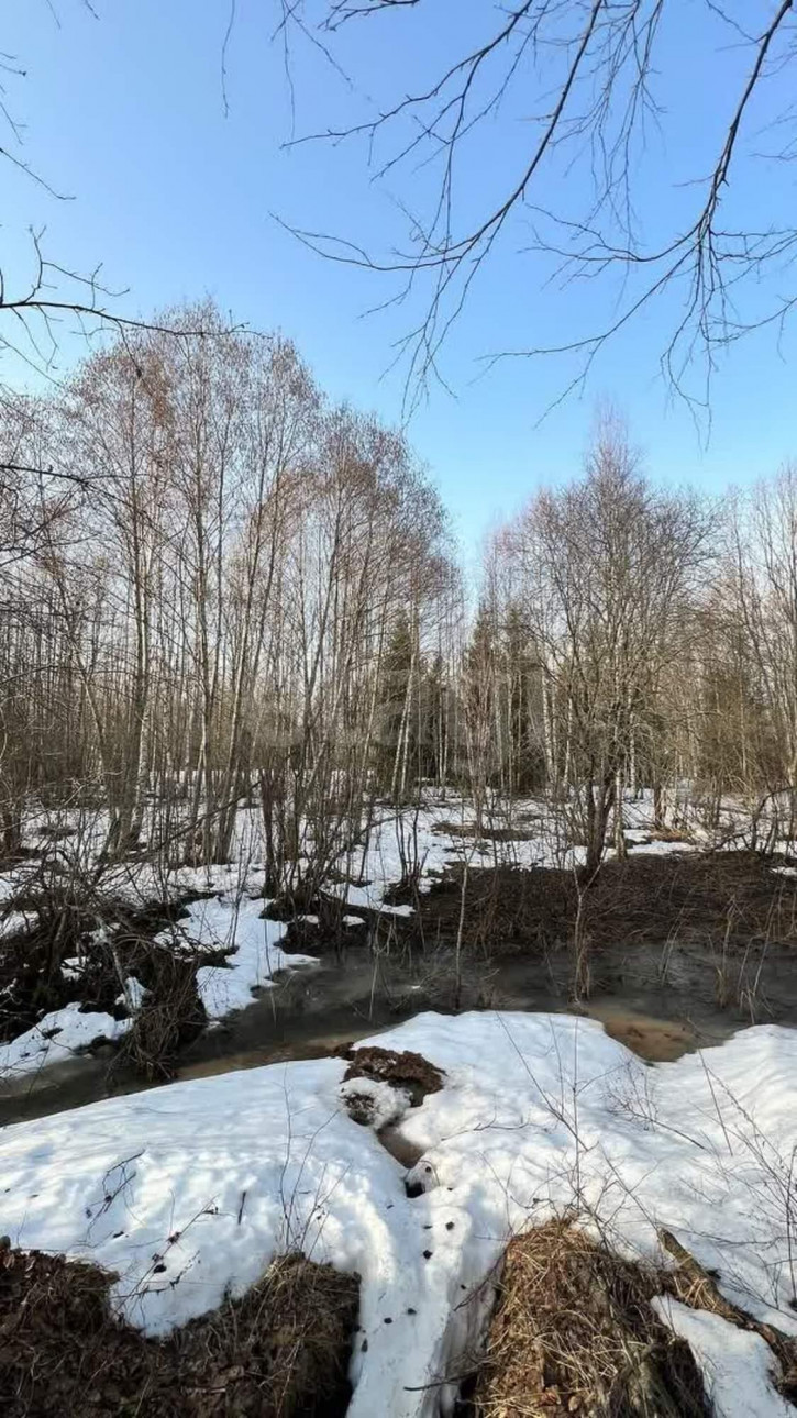 Земельный участок деревня Мальгино (Подлесный сельсовет), 719