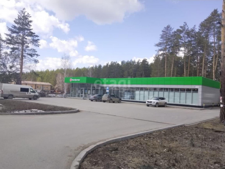 1-комн квартира Абрикосовая, 58
