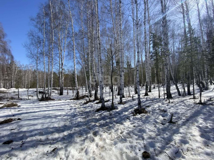 Земельный участок ИЖС, 131