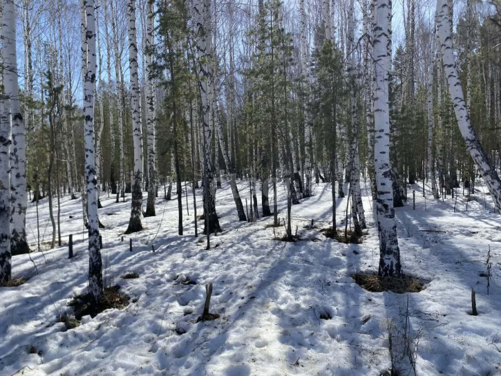 Земельный участок ИЖС, 131