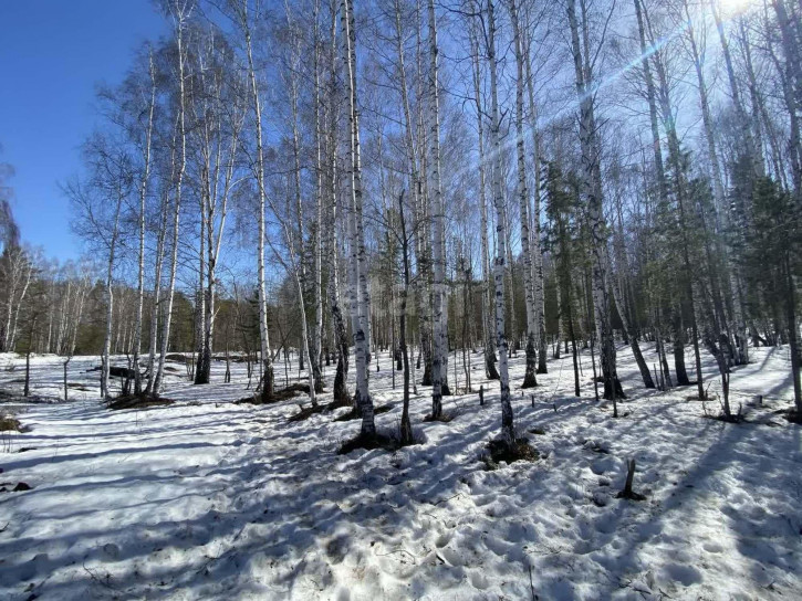 Земельный участок Рудный, 132
