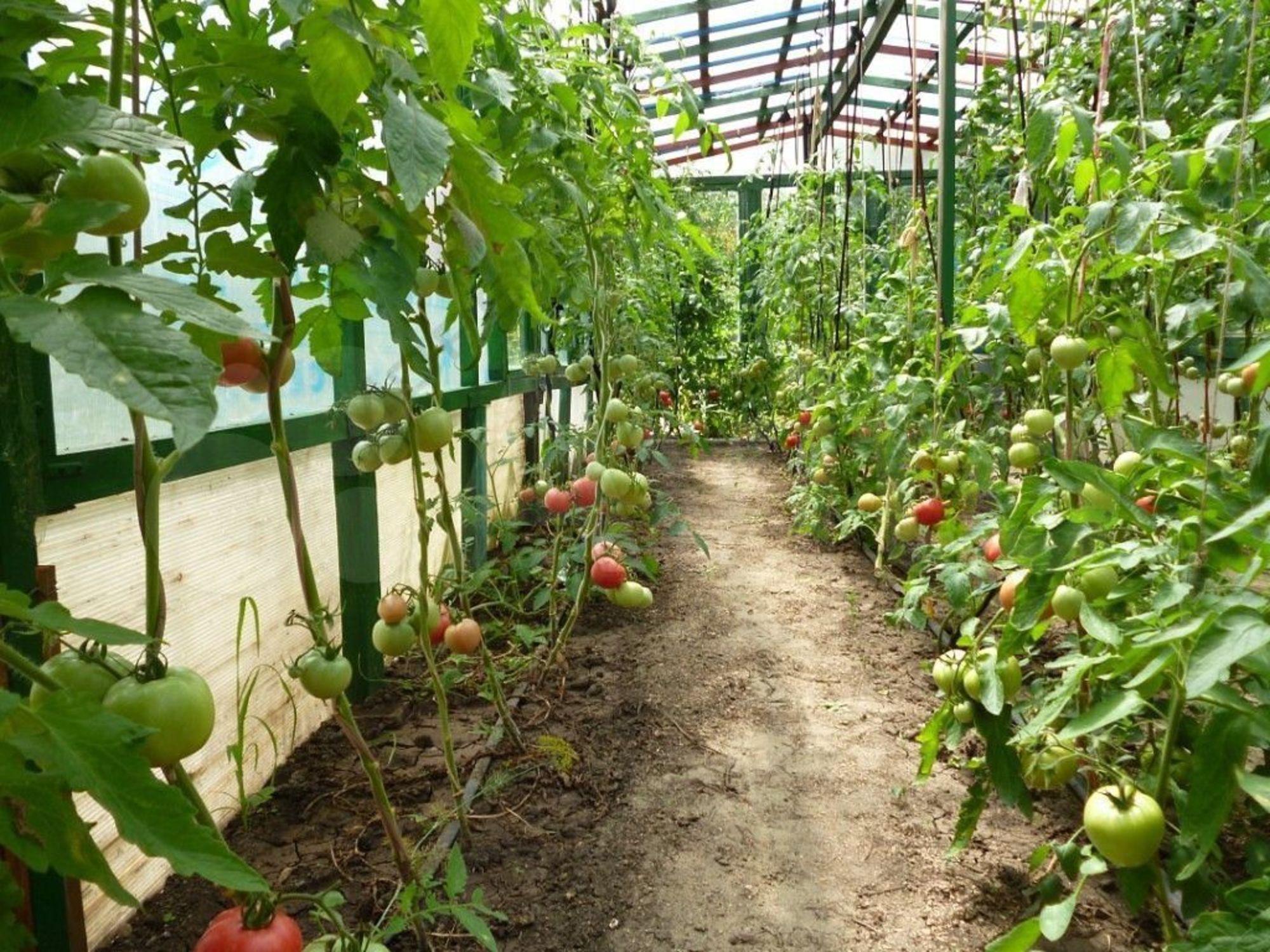 Купить дачу, дом, коттедж за 5 150 000 рублей на Восточная ул, 67