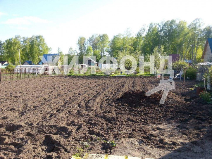 Земельный участок Садоводческое товарищество Колос территория