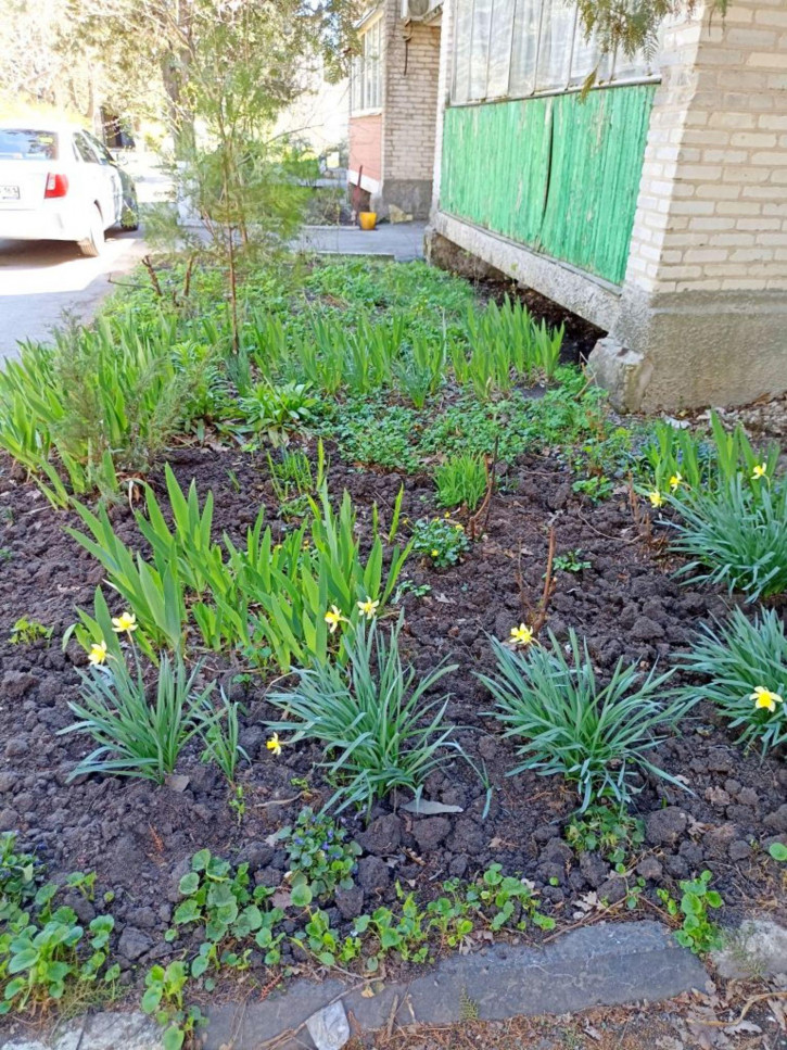 2-комн квартира Бекентьева ул, 6