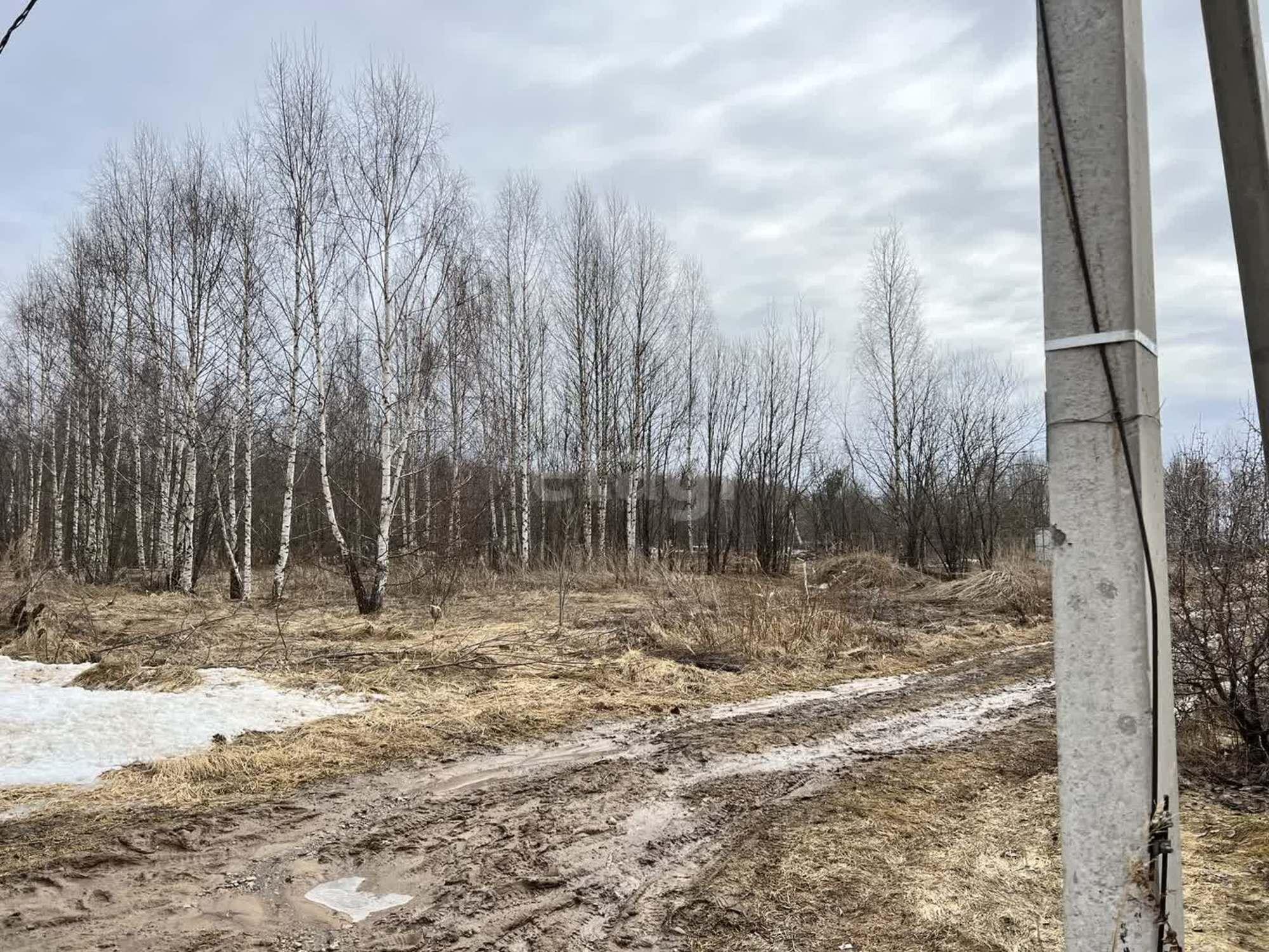 Купить землю, земельный участок за 450 000 рублей на Халипино д.