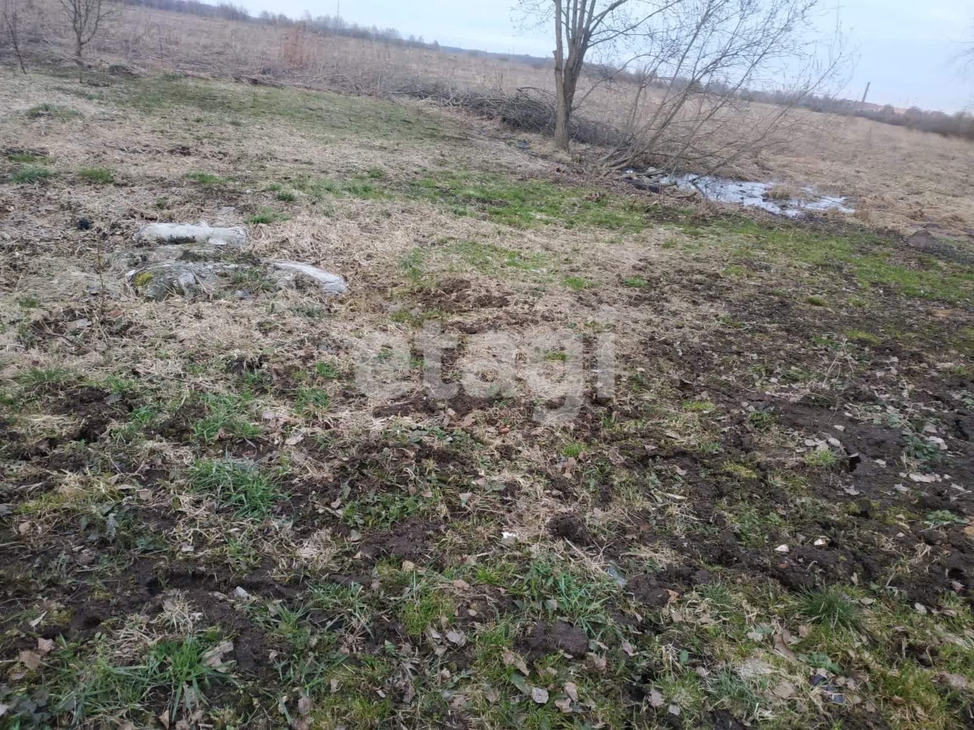 Купить землю, земельный участок за 250 000 рублей на Спас-Ямщики