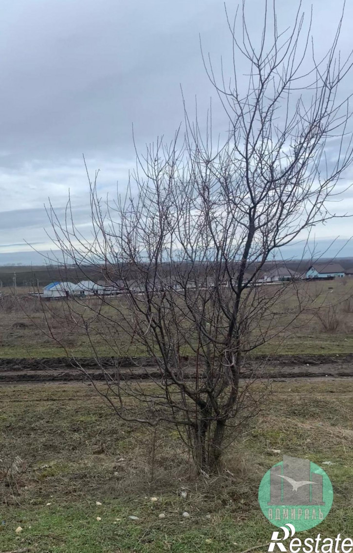 Земельный участок микрорайон Надежда