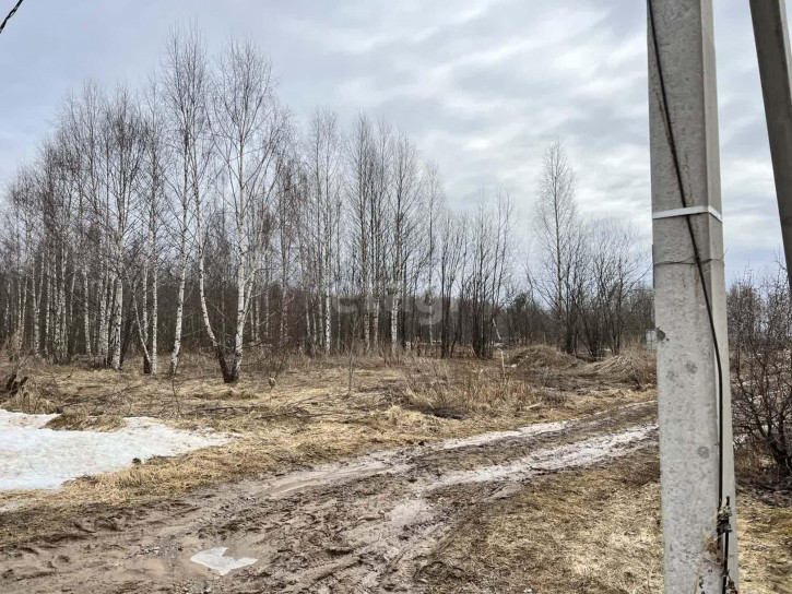 Земельный участок Халипино д.
