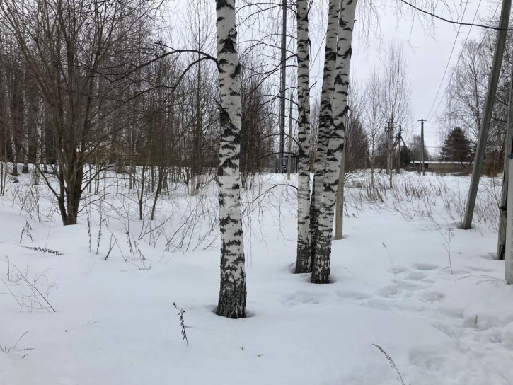 Земельный участок Лунево