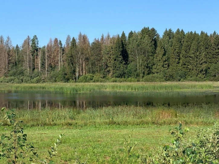 Земельный участок Кимрский муниципальный округ, деревня Лебзуново