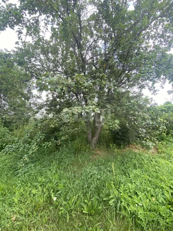 Земельный участок село Щелкун,Ленина 283