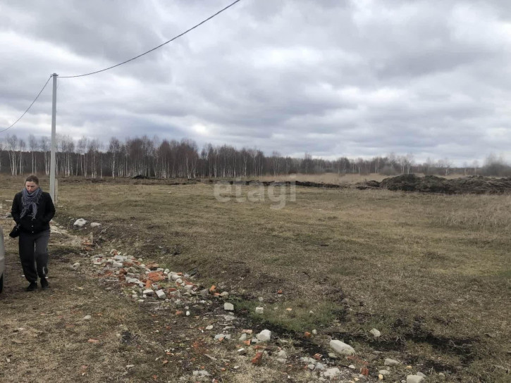 Земельный участок Царицыно СНТ