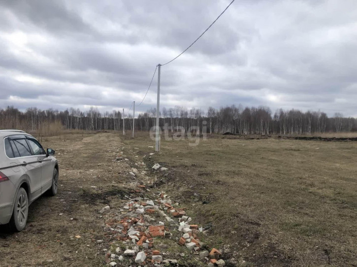 Земельный участок Царицыно СНТ