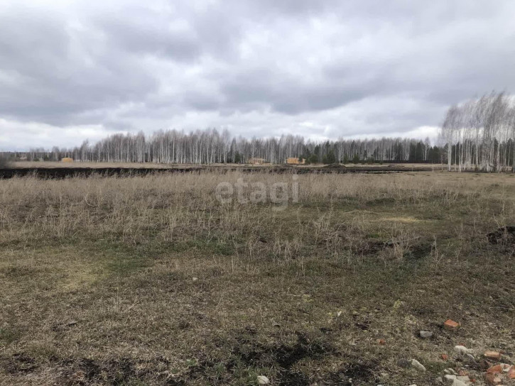 Земельный участок Царицыно СНТ