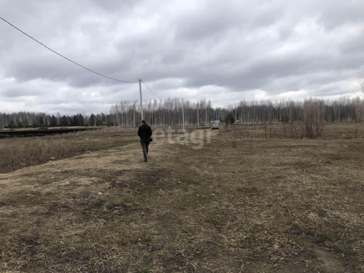 Земельный участок Царицыно СНТ