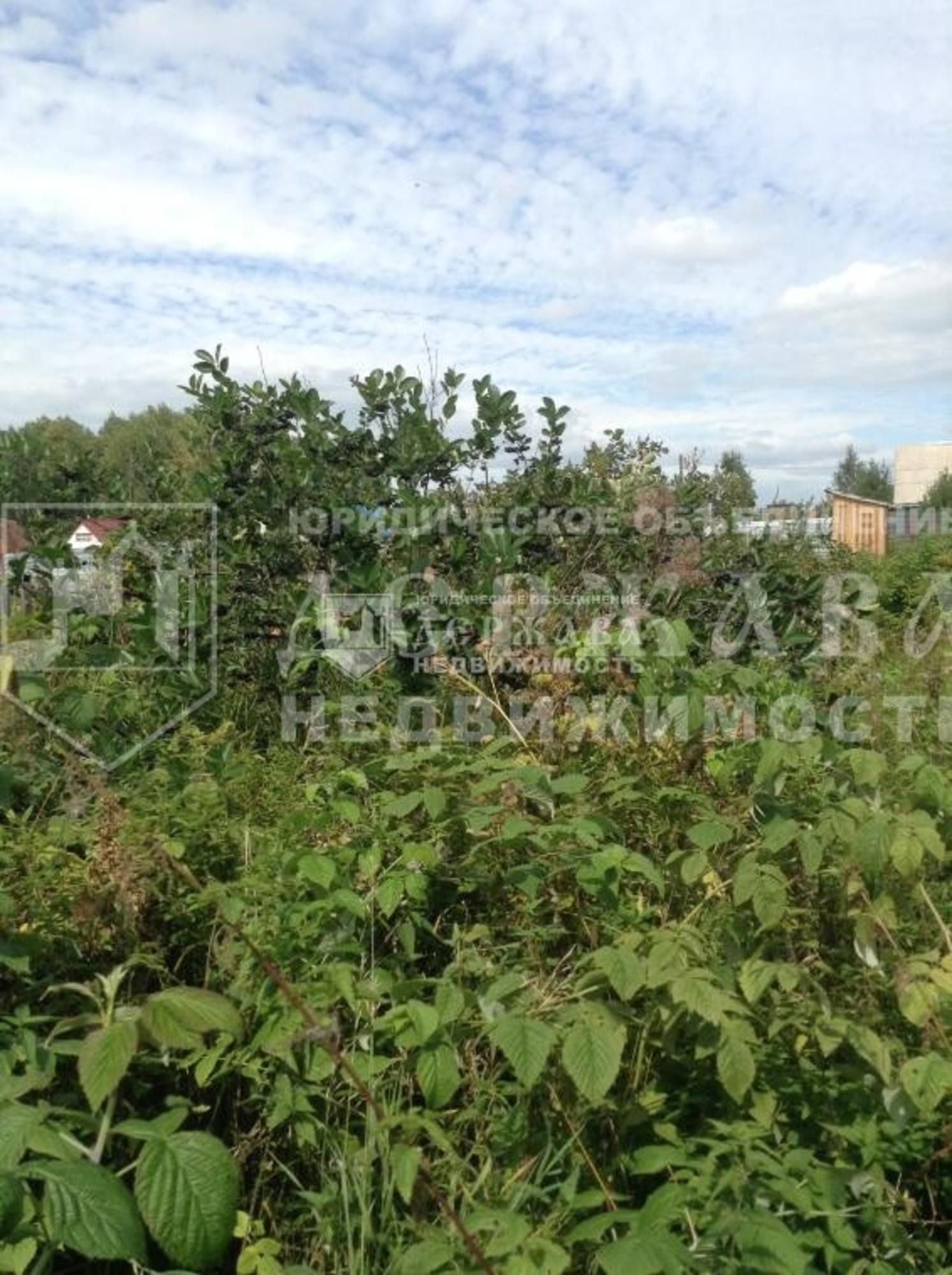 Купить дачу, дом, коттедж за 190 000 рублей на Щегловское территориальное управление