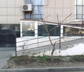 офис 47.5 кв м, этаж 1/9 ул Ессентукская, 11