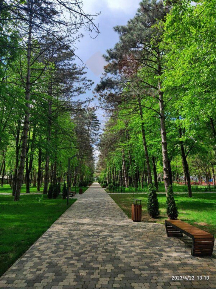 1-комн квартира Мечникова ул (Берёзовый п), 1