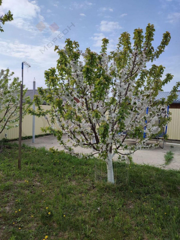 Коттедж/дом Черноморская ул