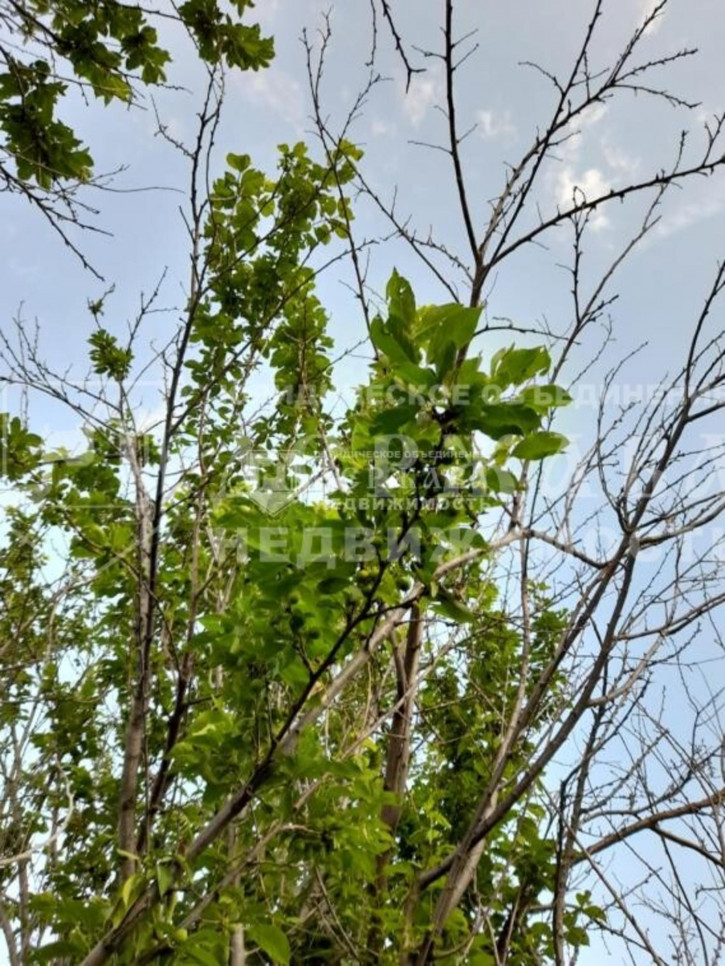 Коттедж/дом Набережная улица