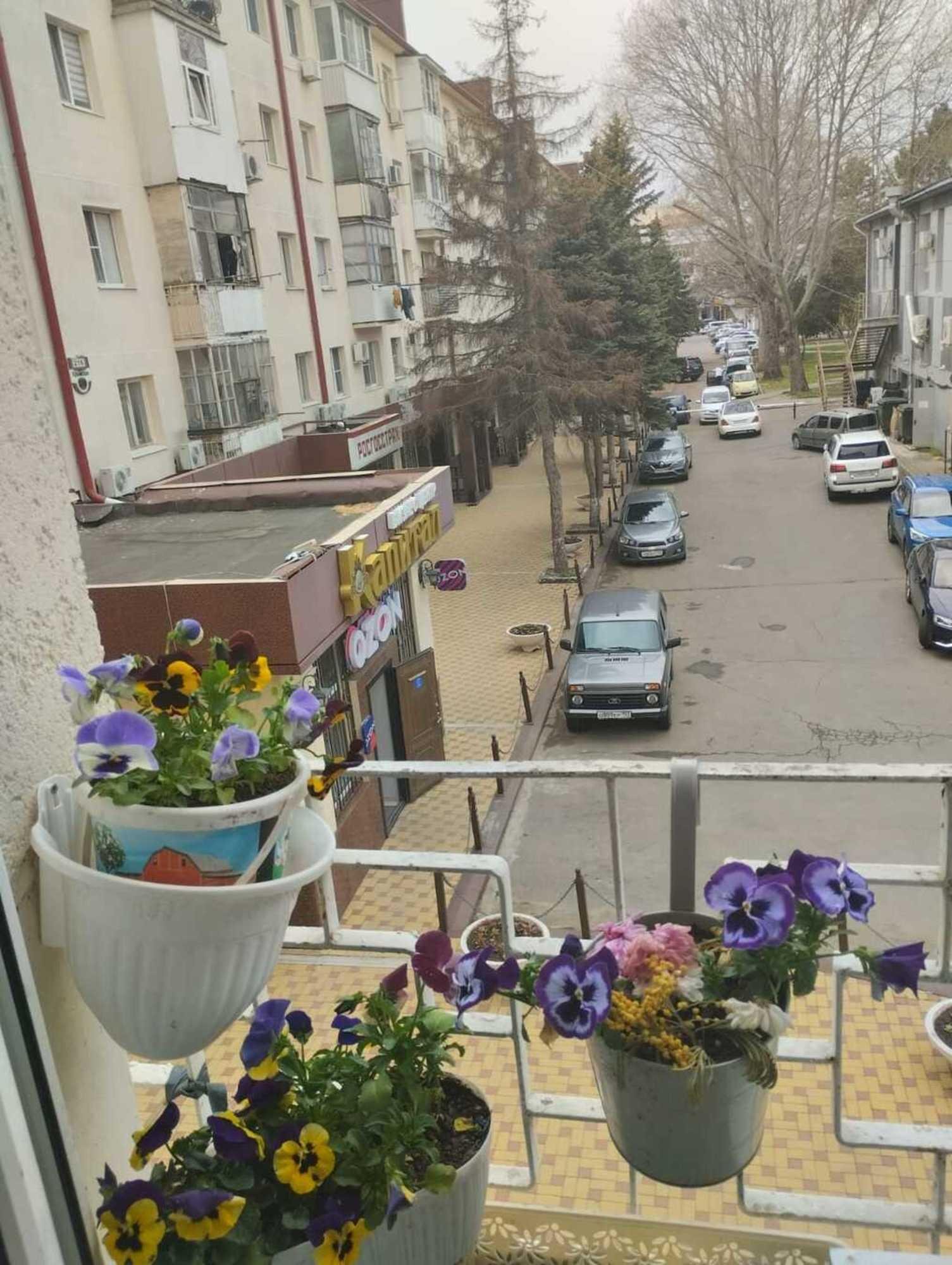Купить студию за 3 700 000 рублей на Крымская улица, 218