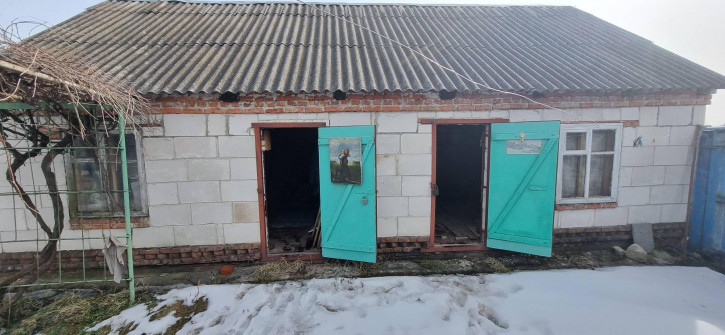 Коттедж/дом 101