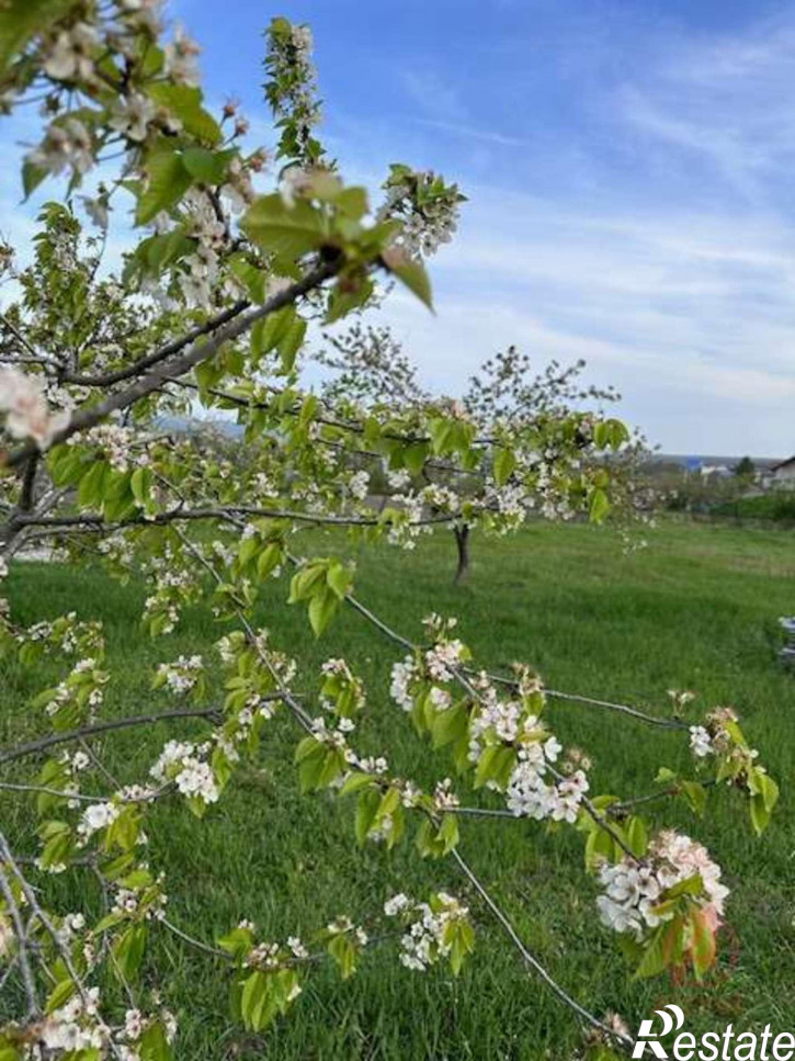 Земельный участок Натухаевская ст-ца