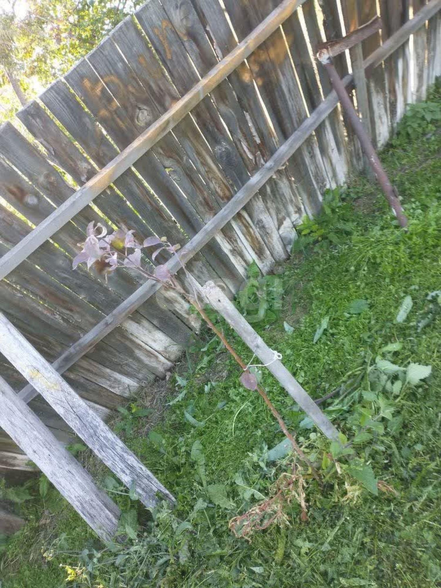 Купить дачу, дом, коттедж за 1 850 000 рублей на Березовая,