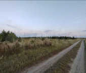 земля 53.9 сот Бурмакина