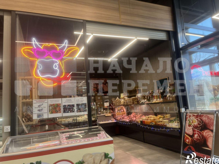 Торговое помещение Кропоткина ул, 203