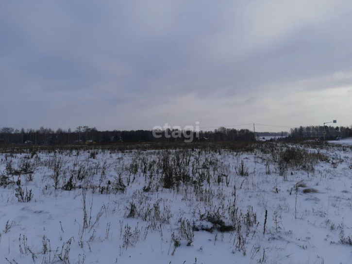 Земельный участок деревня Коняшина
