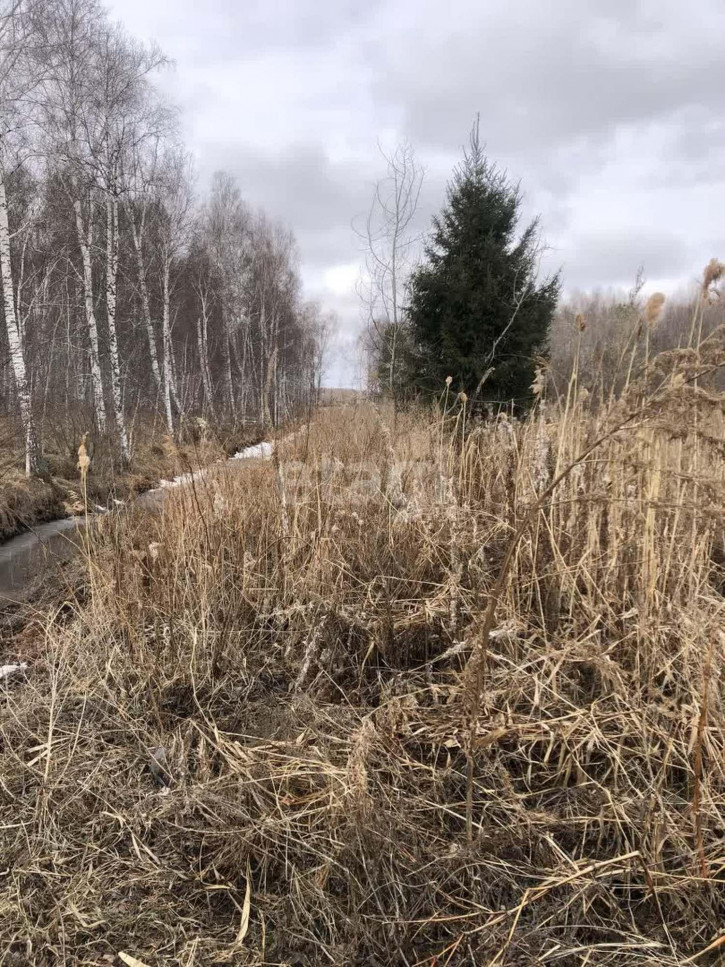Земельный участок Виноградная,