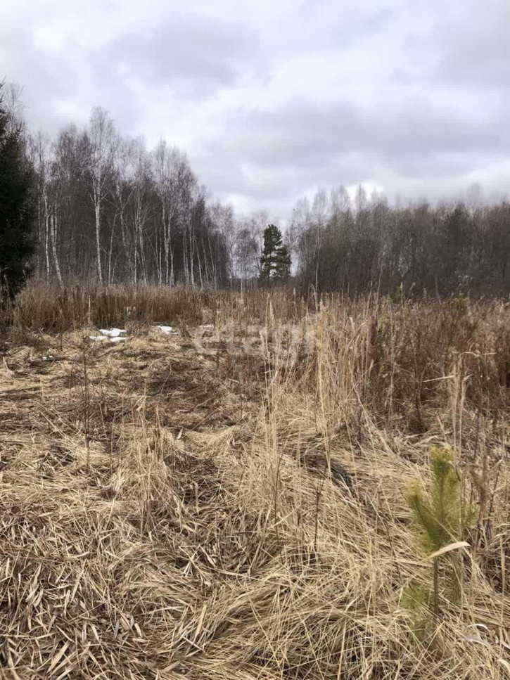 Земельный участок Виноградная,