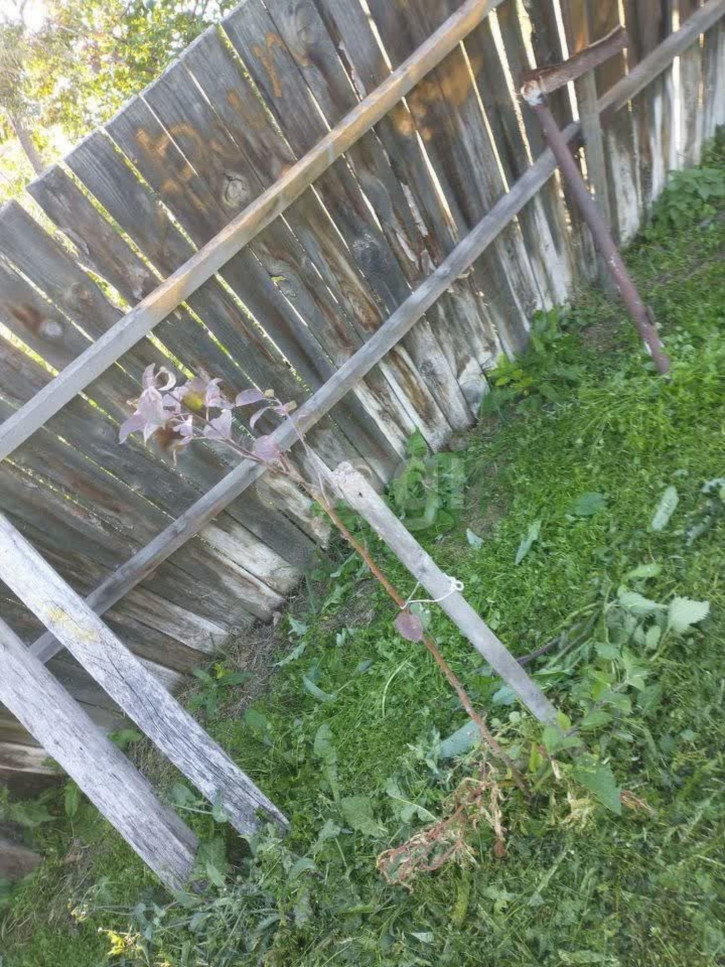 Коттедж/дом Березовая,