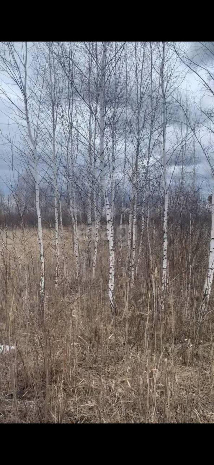 Земельный участок Виноградная,