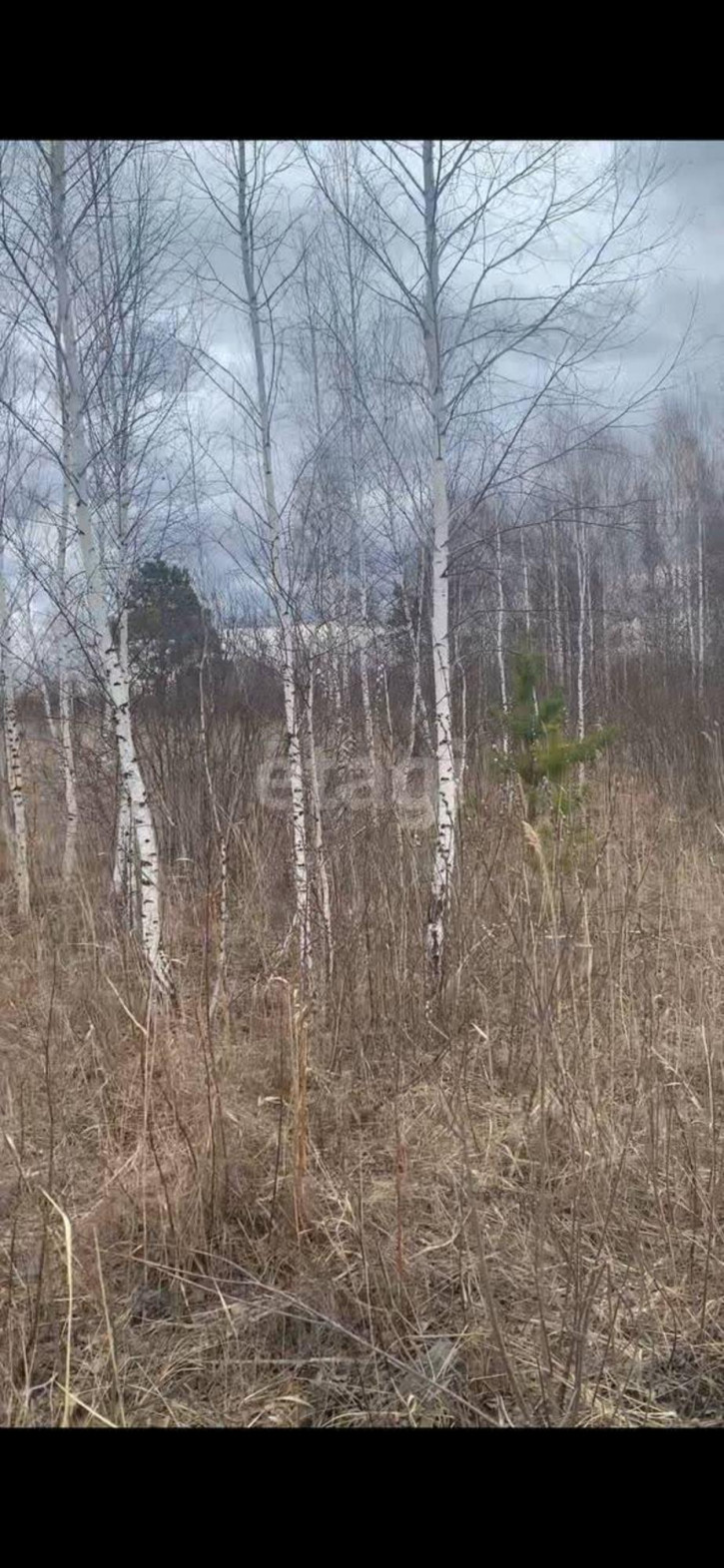 Земельный участок Виноградная,