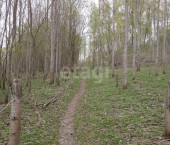земля 5 сот 